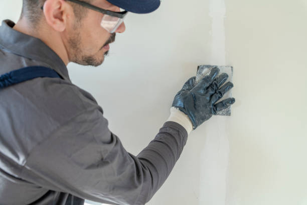 Best Fire-Damaged Drywall Repair  in Lynnwood, WA